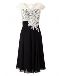 Jacques Vert Lace Bodice Chiffon Dress Multi Black Dresses 10044256 | jacquesvertdressuk.com