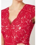 Jacques Vert Lace Godet Dress Multi Red Dresses