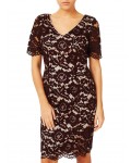 Jacques Vert Opulent Lace Dress Multi Brown Dresses