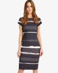 Phase Eight Grey/Navy Dresses Annika Ombre Dress | jacquesvertdressuk.com