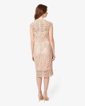 Becky Lace Dress | Cameo  | Phase Eight