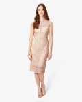 Phase Eight Becky Lace Dress Cameo Dresses