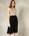 Elfreda Embellished Dress | Black/Antique  | Phase Eight
