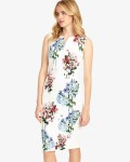 Phase Eight Multi-coloured Dresses Hydrangea Print Dress | jacquesvertdressuk.com