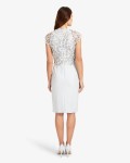 Josephina Lace Dress | Mineral  | Phase Eight