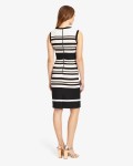 Paige Stripe Dress | Multi-coloured  | Phase Eight
