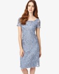 Phase Eight Bluebell Dresses Talia Embroidered Dress | jacquesvertdressuk.com
