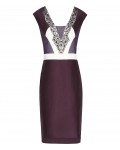 Reiss Lianora Berry/deep Amethyst Embellished Dress 29619165,Reiss EMBELLISHED DRESSES