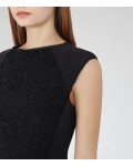 Reiss Talithia Midnight Lace-Panel Dress