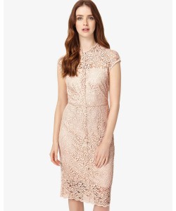 Phase Eight Becky Lace Dress Cameo Dresses