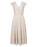 Jacques Vert Lace Godet Dress Mid Neutral Dresses 10045413 | jacquesvertdressuk.com