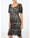 Jacques Vert Leaf Lace Dress Multi Black Dresses
