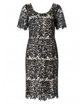 Jacques Vert Leaf Lace Dress Multi Black Dresses 10044330 | jacquesvertdressuk.com
