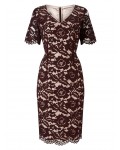 Jacques Vert Opulent Lace Dress Multi Brown Dresses 10043338 | jacquesvertdressuk.com
