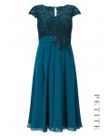 Jacques Vert Petite Lace Bodice Dress Dark Blue Dresses 10043751 | jacquesvertdressuk.com
