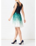 Jacques Vert Petite Lace Organza Dress Multi Navy Dresses