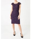 Jacques Vert Petite Lace Shift Dress Dark Purple Dresses, Jacques Vert Item No.10044476