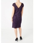 Jacques Vert Petite Lace Shift Dress Dark Purple Dresses