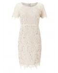 Jacques Vert Petite Leaf Lace Dress Mid Neutral Dresses 10045052 | jacquesvertdressuk.com