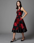 Aviana Floral Dress | Black/Ruby  | Phase Eight