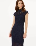 Becky Lace Dress | Navy  | Phase Eight