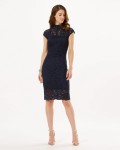 Phase Eight Navy Dresses Becky Lace Dress | jacquesvertdressuk.com