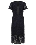 Phase Eight Darena Lace Dress Navy Dresses