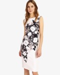Phase Eight Black/Mauve Chalk Dresses Eleanor Floral Dress | jacquesvertdressuk.com
