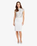 Phase Eight Josephina Lace Dress Mineral Dresses