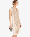 Phase Eight Soft Pink Dresses Laurie Embroidered Dress | jacquesvertdressuk.com
