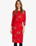 Phase Eight Red Dresses Meredith Blouson Dress | jacquesvertdressuk.com