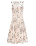Phase Eight Prudence Embroidered Dress Cameo Dresses