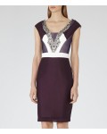 Reiss Lianora Berry/deep Amethyst Embellished Dress